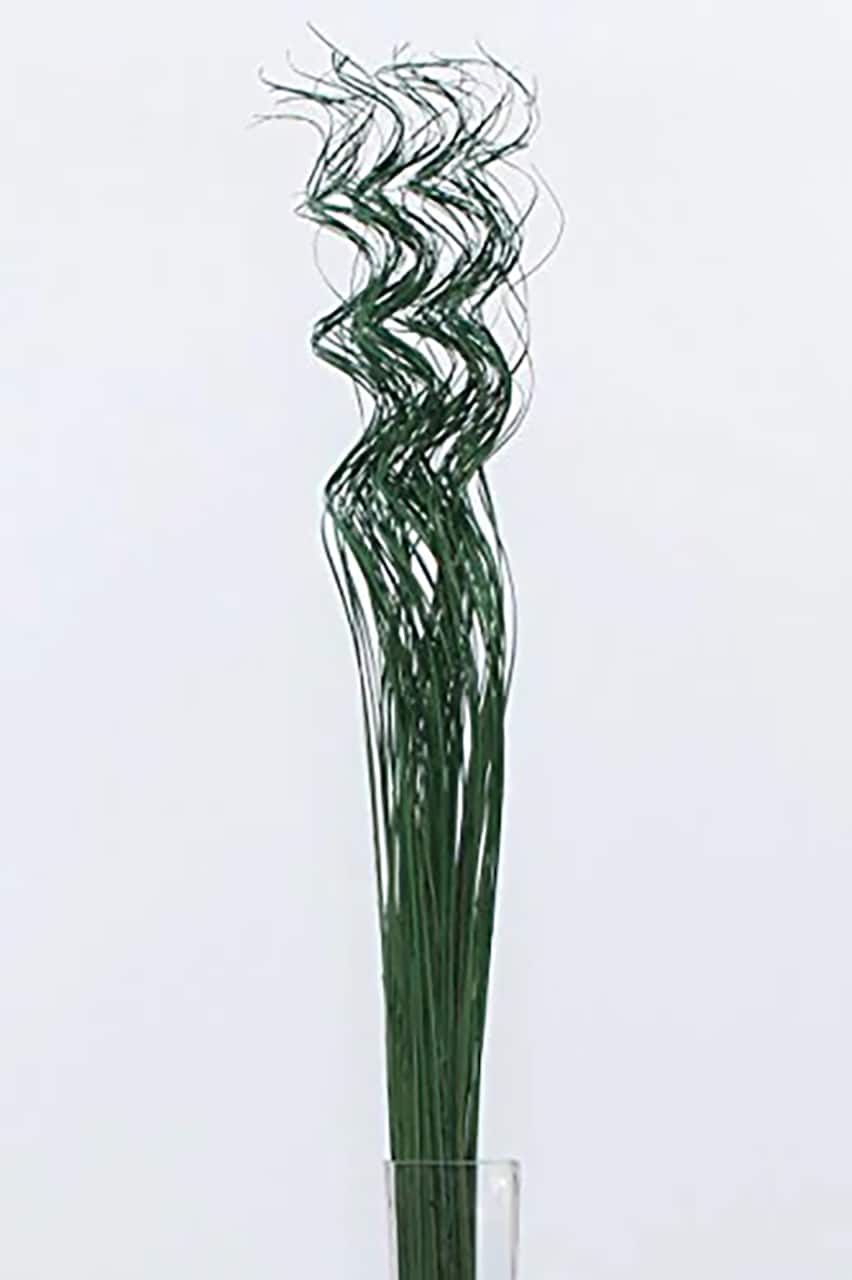 TF Publishing Natural Curly Ting Branch Stems, 35ct.